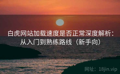 白虎网站加载速度是否正常深度解析：从入门到熟练路线（新手向）