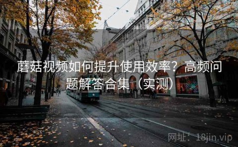蘑菇视频如何提升使用效率？高频问题解答合集（实测）