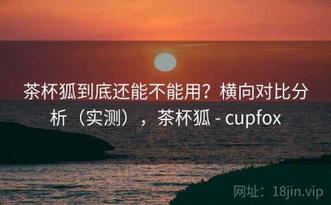 茶杯狐到底还能不能用？横向对比分析（实测），茶杯狐 - cupfox