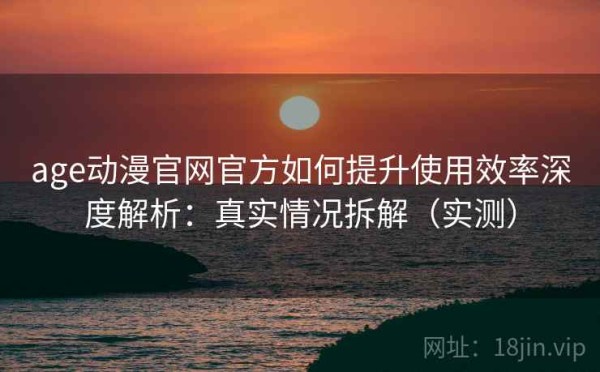 age动漫官网官方如何提升使用效率深度解析：真实情况拆解（实测）