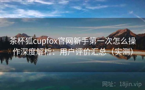 茶杯狐cupfox官网新手第一次怎么操作深度解析：用户评价汇总（实测）