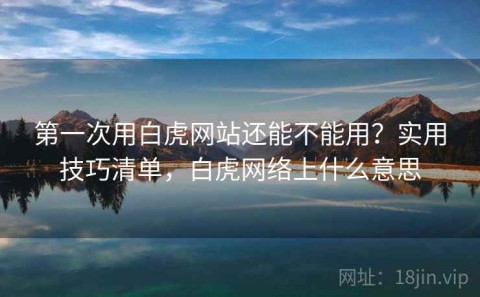 第一次用白虎网站还能不能用？实用技巧清单，白虎网络上什么意思