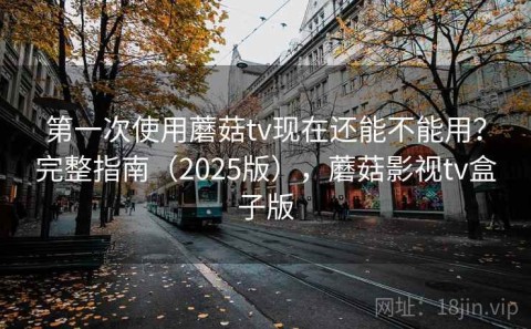 第一次使用蘑菇tv现在还能不能用？完整指南（2025版），蘑菇影视tv盒子版