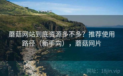 蘑菇网站到底资源多不多？推荐使用路径（新手向），蘑菇网片