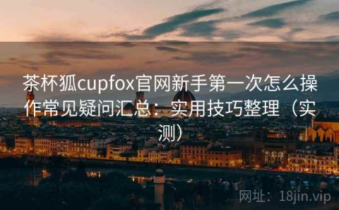 茶杯狐cupfox官网新手第一次怎么操作常见疑问汇总：实用技巧整理（实测）