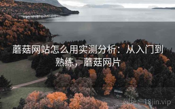 蘑菇网站怎么用实测分析：从入门到熟练，蘑菇网片