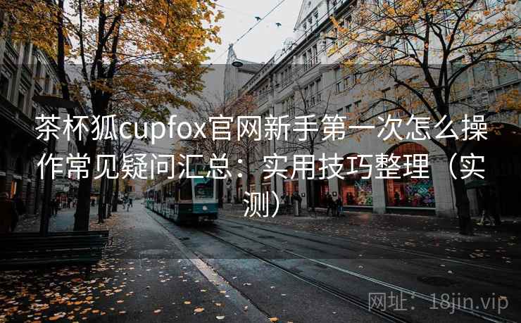 茶杯狐cupfox官网新手第一次怎么操作常见疑问汇总：实用技巧整理（实测）