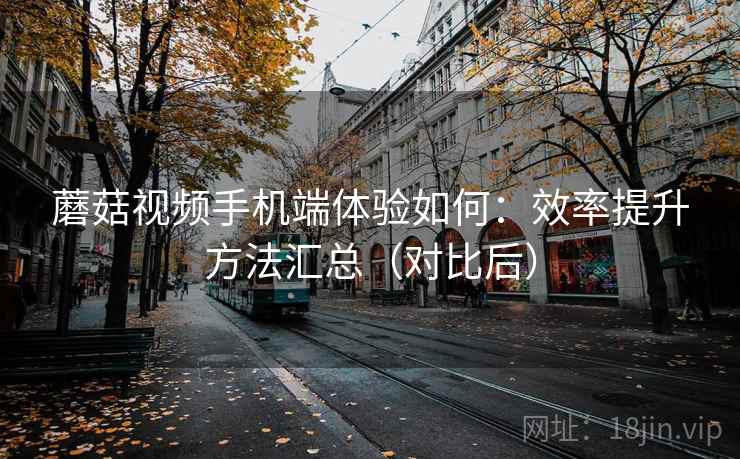 蘑菇视频手机端体验如何：效率提升方法汇总（对比后）