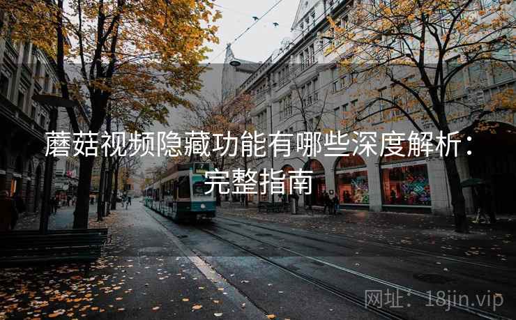 蘑菇视频隐藏功能有哪些深度解析：完整指南