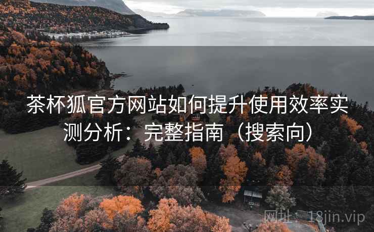 茶杯狐官方网站如何提升使用效率实测分析：完整指南（搜索向）