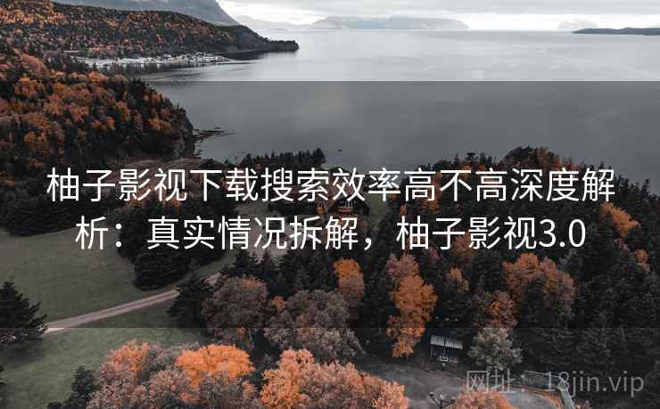 柚子影视下载搜索效率高不高深度解析：真实情况拆解，柚子影视3.0