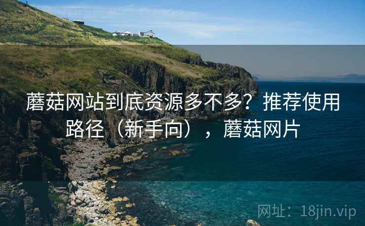 蘑菇网站到底资源多不多？推荐使用路径（新手向），蘑菇网片