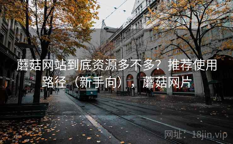 蘑菇网站到底资源多不多？推荐使用路径（新手向），蘑菇网片