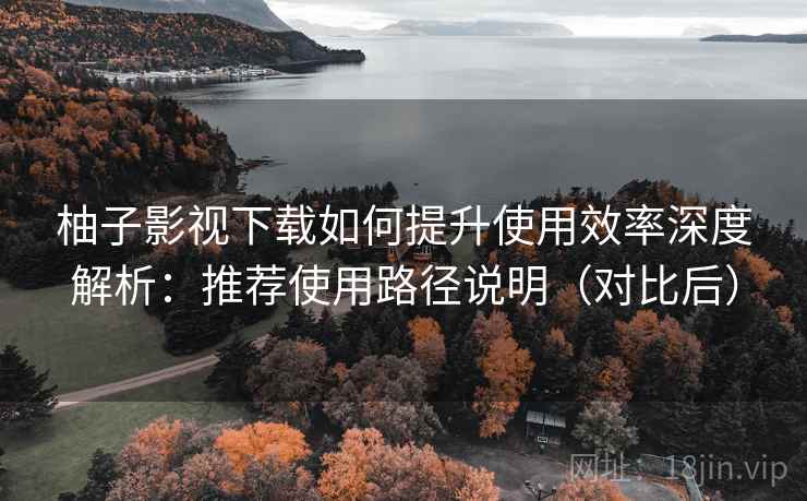 柚子影视下载如何提升使用效率深度解析：推荐使用路径说明（对比后）