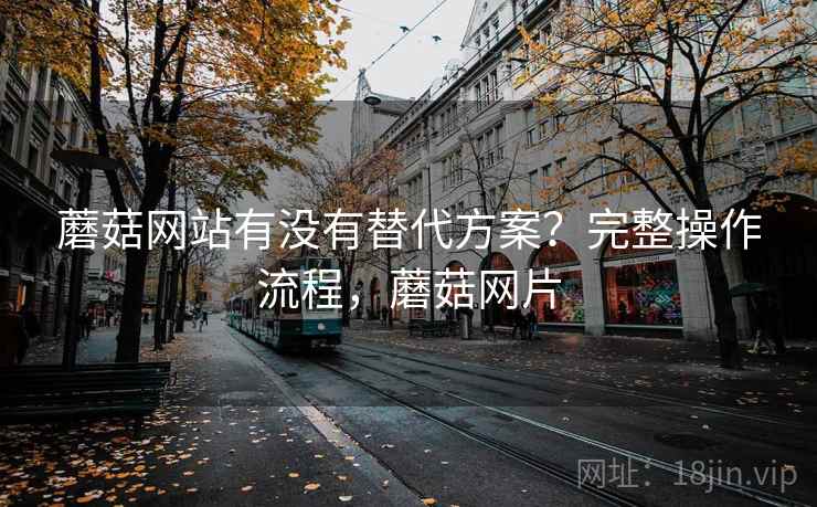 蘑菇网站有没有替代方案？完整操作流程，蘑菇网片
